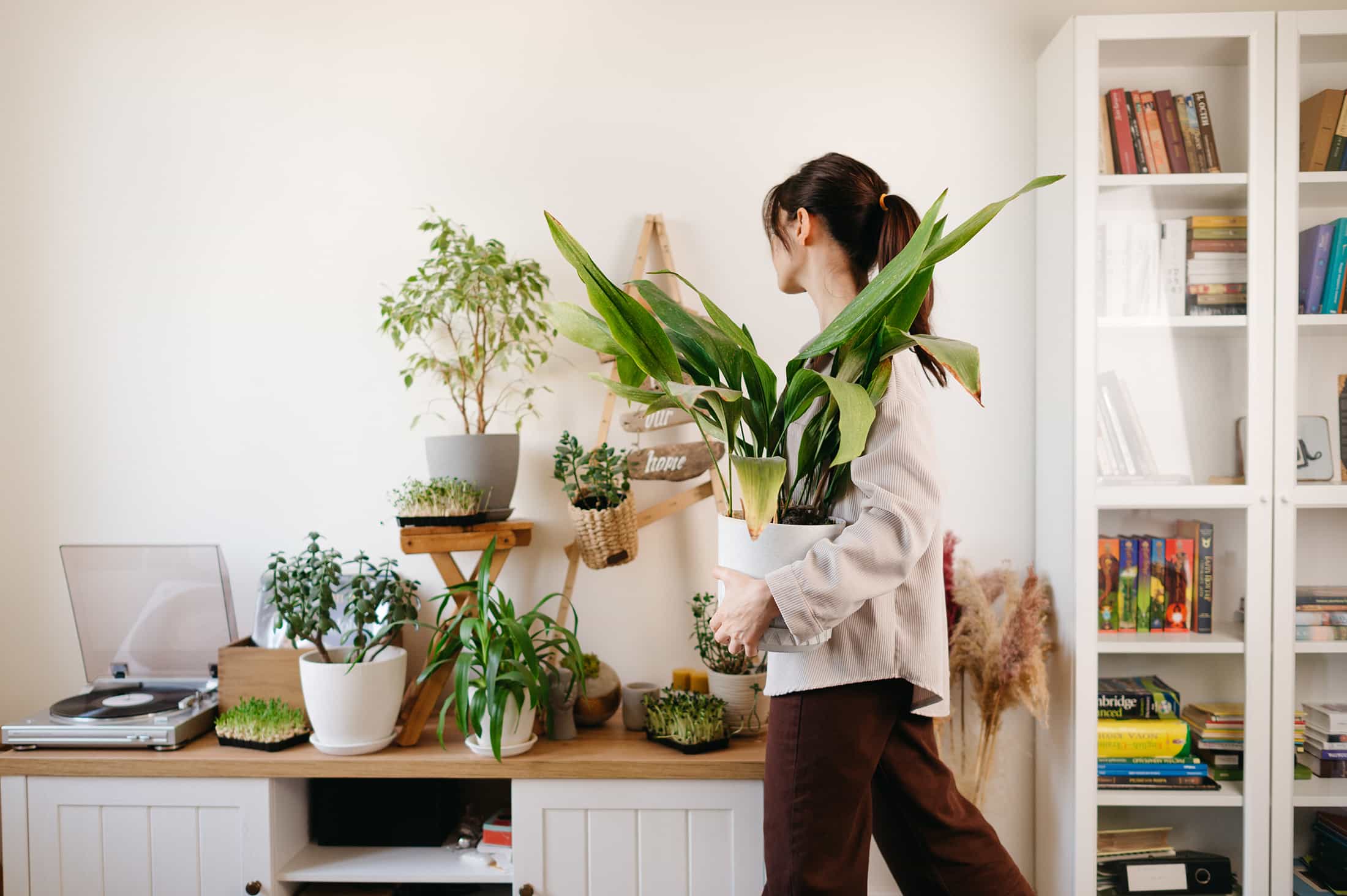 woman-at-home-with-collection-of-houseplants-home--EPJKNQL.jpg